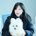 히또와 강아지